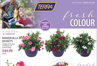 Terra Greenhouses Flyer June 18 to 24