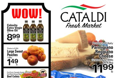 Cataldi Fresh Market Flyer June 23 to 29