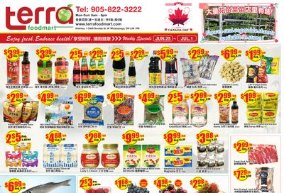 Terra Foodmart Flyer June 25 to July 1