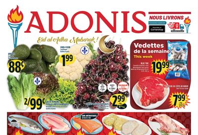 Marche Adonis (QC) Flyer July 15 to 21