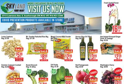 Skyland Food Mart Flyer July 16 to 22