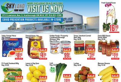 Skyland Food Mart Flyer July 23 to 29