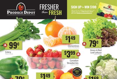 Produce Depot Flyer August 11 to 17