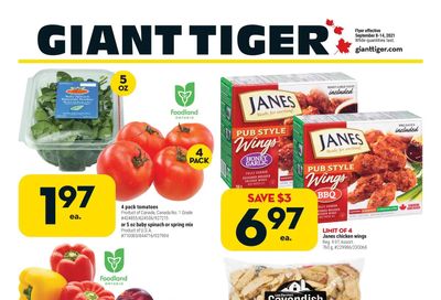 Giant Tiger (ON) Flyer September 8 to 14