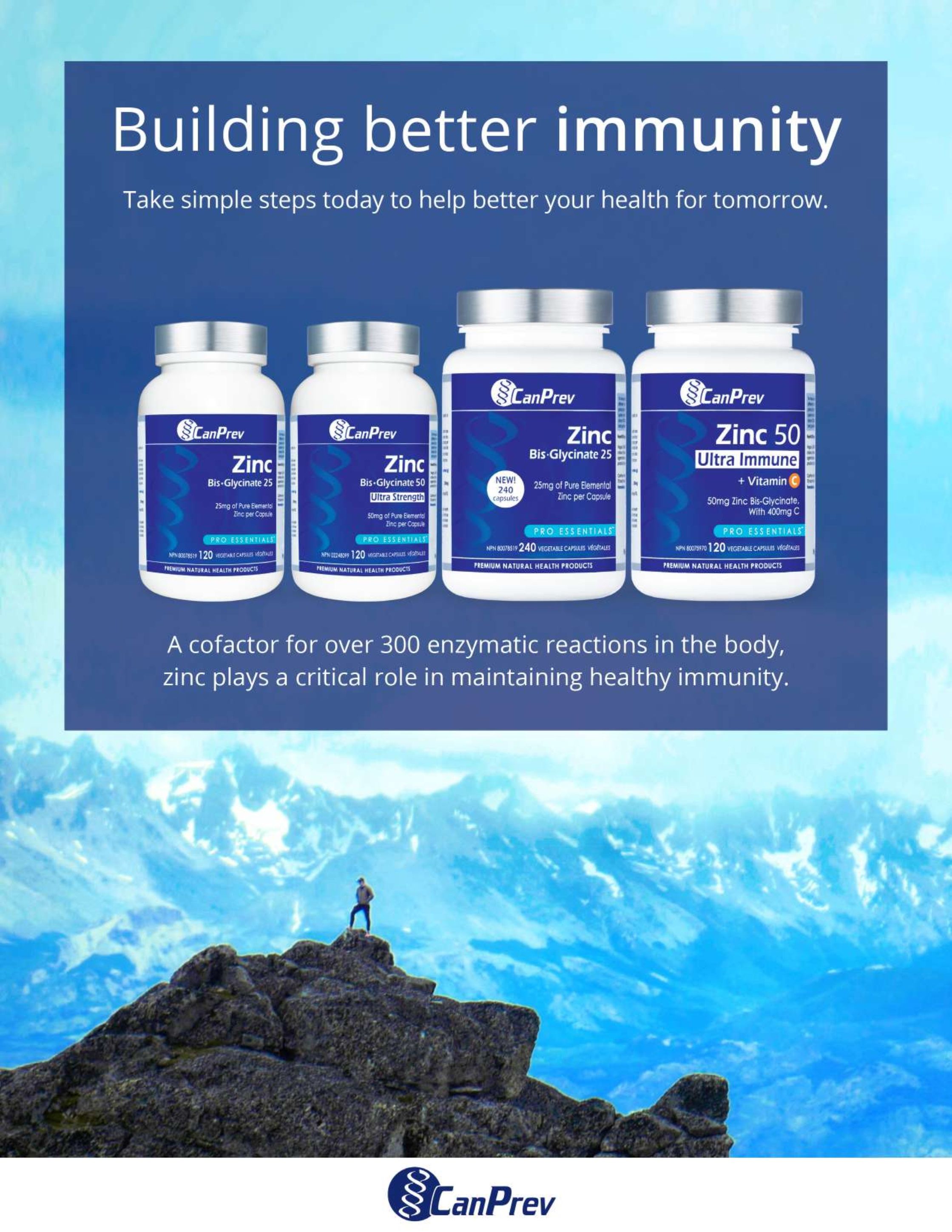 Ambrosia Natural Foods Flyer October 1 to 31