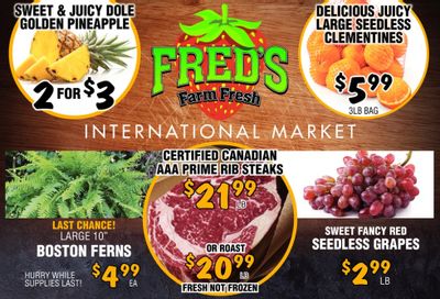 Fred's Farm Fresh Flyer October 6 to 12