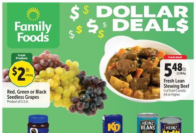 Family Foods Flyer October 15 to 21