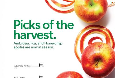 Publix (AL, FL, GA, NC, SC, TN) Weekly Ad Flyer October 15 to October 22