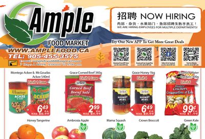 Ample Food Market (Brampton) Flyer October 22 to 28
