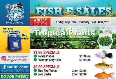 Big Al's (Whitby) Weekly Specials September 6 to 12