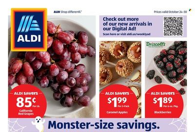 ALDI (AL, IL, MI) Weekly Ad Flyer October 27 to November 3