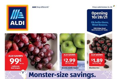 ALDI (NY) Weekly Ad Flyer October 27 to November 3