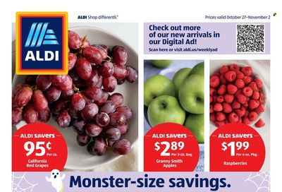 ALDI (GA, NC, SC) Weekly Ad Flyer October 30 to November 6