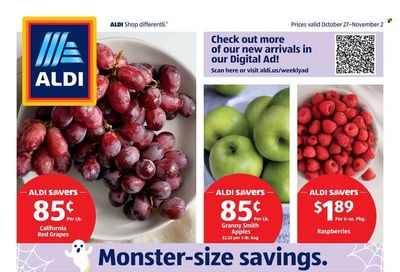 ALDI (TX) Weekly Ad Flyer November 1 to November 8