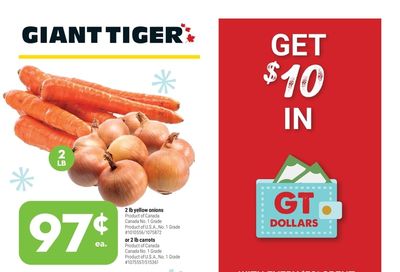 Giant Tiger (West) Flyer November 3 to 9