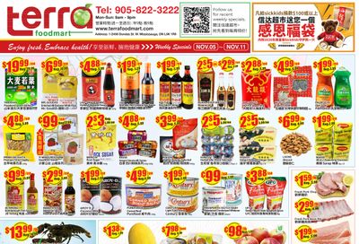 Terra Foodmart Flyer November 5 to 11