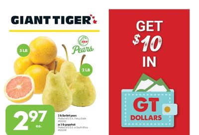 Giant Tiger (Atlantic) Flyer November 10 to 16