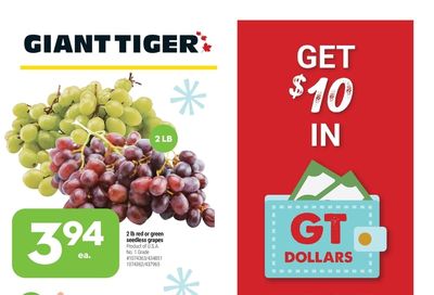 Giant Tiger (West) Flyer November 10 to 16