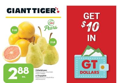 Giant Tiger (ON) Flyer November 10 to 16