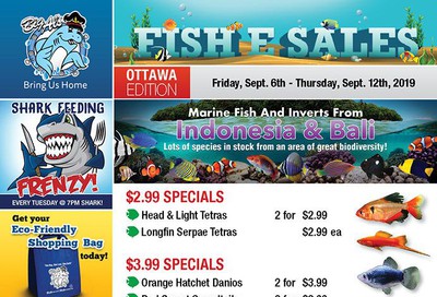 Big Al's (Ottawa East) Weekly Specials September 6 to 12