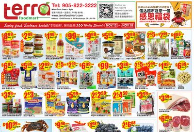 Terra Foodmart Flyer November 12 to 18