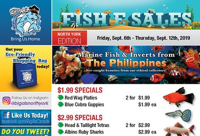 Big Al's (North York) Weekly Specials September 6 to 12