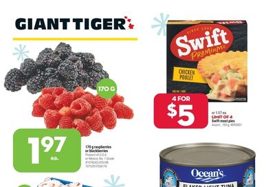 Giant Tiger (West) Flyer November 17 to 23