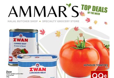 Ammar's Halal Meats Flyer November 18 to 24
