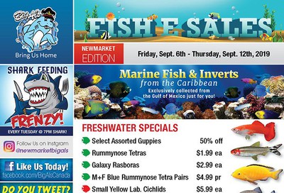 Big Al's (Newmarket) Weekly Specials September 6 to 12