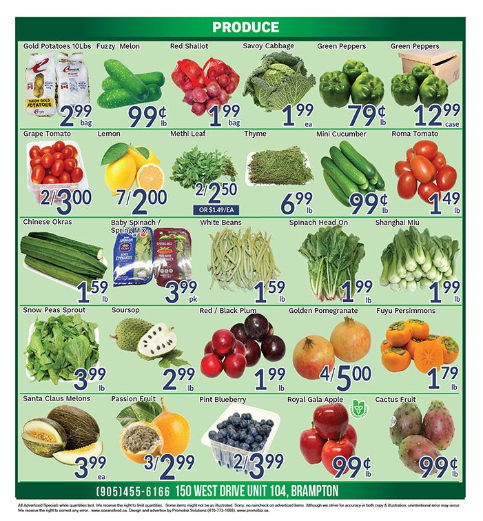 Oceans Fresh Food Market (Brampton) Flyer November 19 to 25