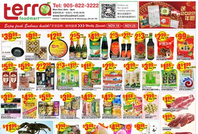 Terra Foodmart Flyer November 19 to 25