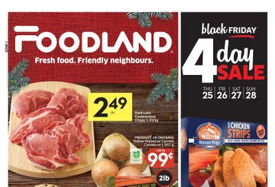Foodland (ON) Flyer November 25 to December 1
