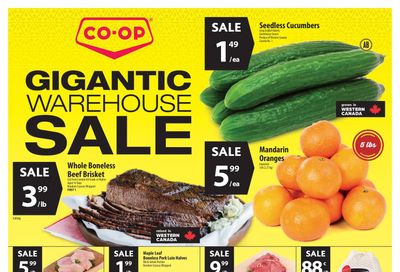 Co-op (West) Food Store Flyer November 25 to December 1