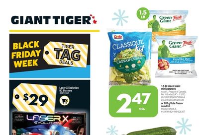 Giant Tiger (Atlantic) Flyer November 24 to 30