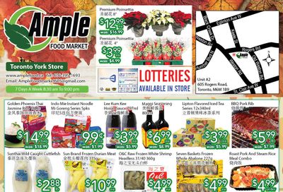 Ample Food Market (North York) Flyer November 26 to December 2