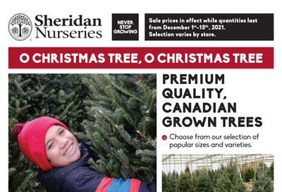 Sheridan Nurseries Flyer December 1 to 15