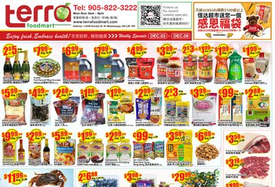 Terra Foodmart Flyer December 3 to 9