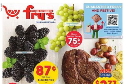 Fry’s (AZ) Weekly Ad Flyer December 7 to December 14