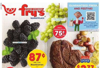 Fry’s (AZ) Weekly Ad Flyer December 7 to December 14