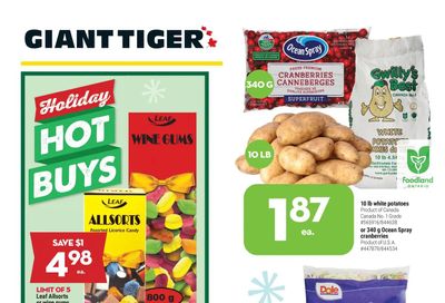 Giant Tiger (ON) Flyer December 8 to 14