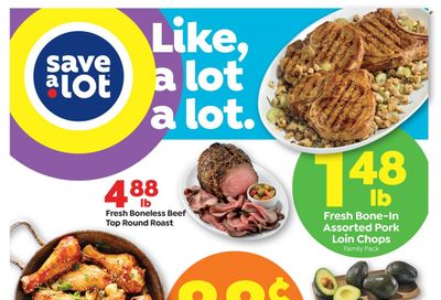 Save a Lot Weekly Ad Flyer December 8 to December 15