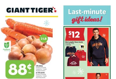 Giant Tiger (ON) Flyer December 15 to 21