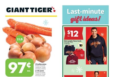 Giant Tiger (West) Flyer December 15 to 21