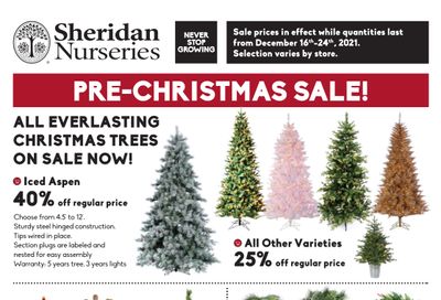 Sheridan Nurseries Flyer December 16 to 24