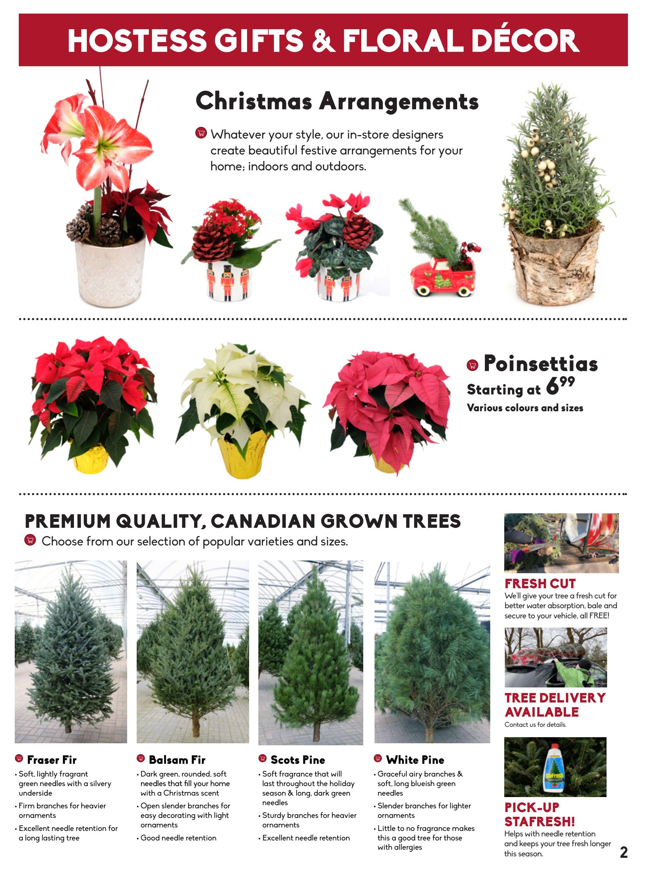 Sheridan Nurseries Flyer December 16 to 24