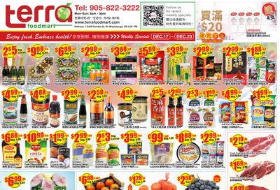 Terra Foodmart Flyer December 17 to 23