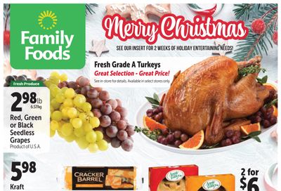 Family Foods Flyer December 17 to 30