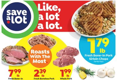 Save a Lot Weekly Ad Flyer December 17 to December 24