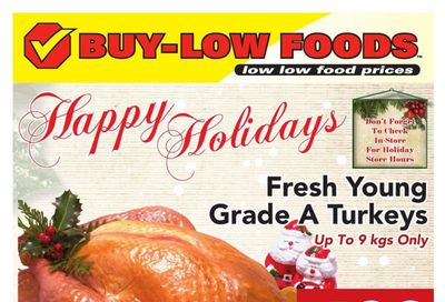 Buy-Low Foods Flyer December 17 to 25