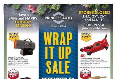 Princess Auto Flyer December 21 to January 2